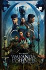 Czarna Pantera Wakanda w moim sercu cały film