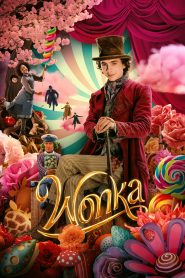 Wonka cały film